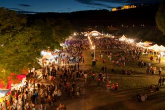 Umsonst &amp; Draussen Festival e.V. - Lisa Altvater