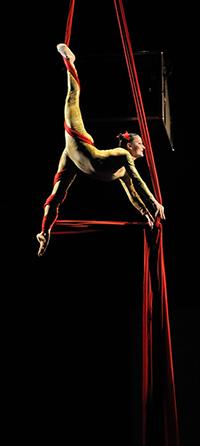 * Art en Air * Vertikaltuch, Vertikalseil, Trapez, Tuchakrobatik, Feuertanz/Tanz - Roswitha Döbeli