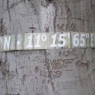 Projekt MAILTO_Gute Ahnen Sein: DENDRON und HOMO SAPIEN im Gespräch - Angela Preusz