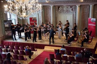 Austrian Master Classes - Internationale Meister- und Jugendkurse in Österreich - Univ.Prof. Georg Steinschaden