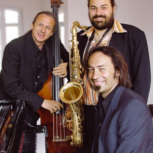 Alligators of <b style=