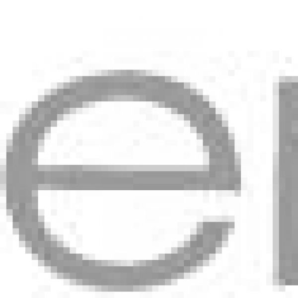 GalerieN Nienburger Kulturwerk - Hilda Kieseritzky