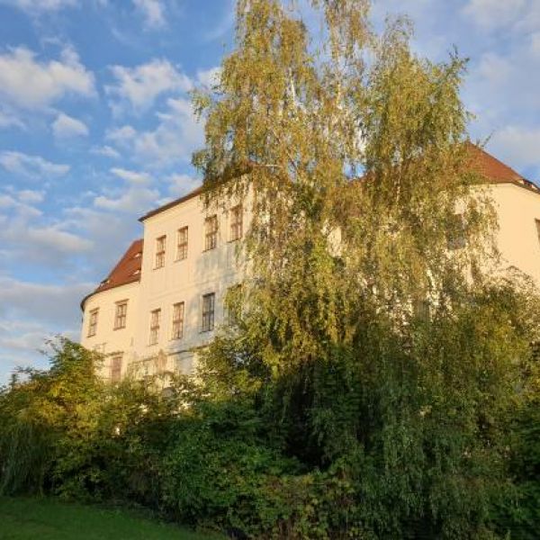 Schloss & Stadtmuseum Hoyerswerda - Nicole Petrick