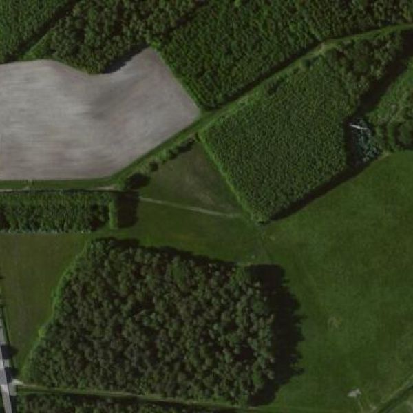 Keines - Wolgang Dobbrick