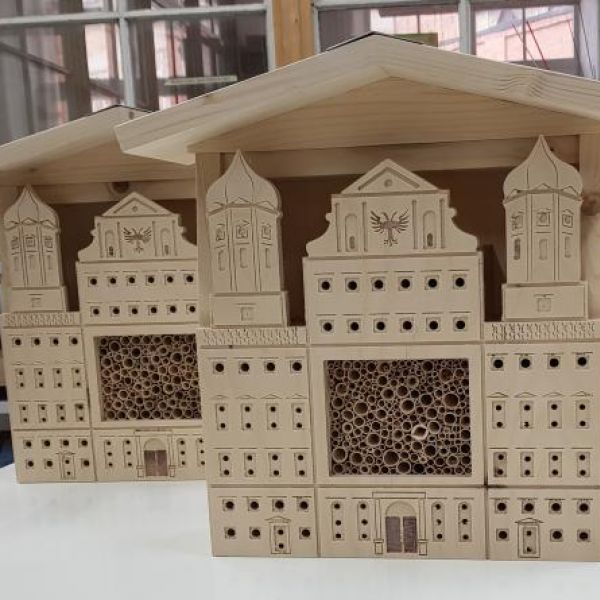 MutMacherMenschen gem. eG - Edith Almer