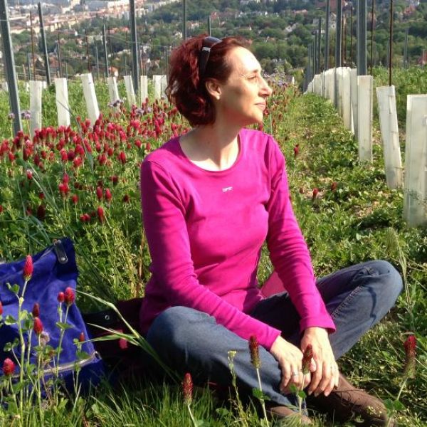 Christina Werner PR - Christina Wermer