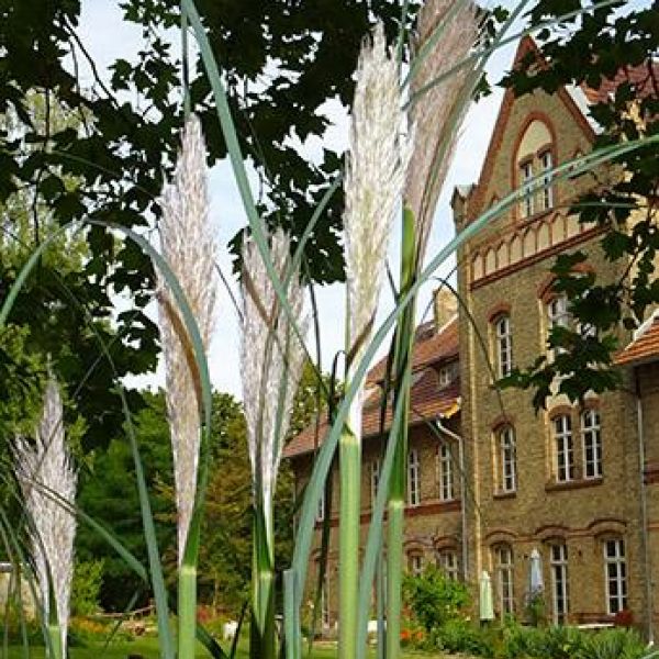 Kunstgut Krahne - Martina Breyer