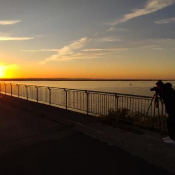 Museologin, Archivarin, Dokumentarin, Medienwissenschaftlerin - Marlene Burmeister