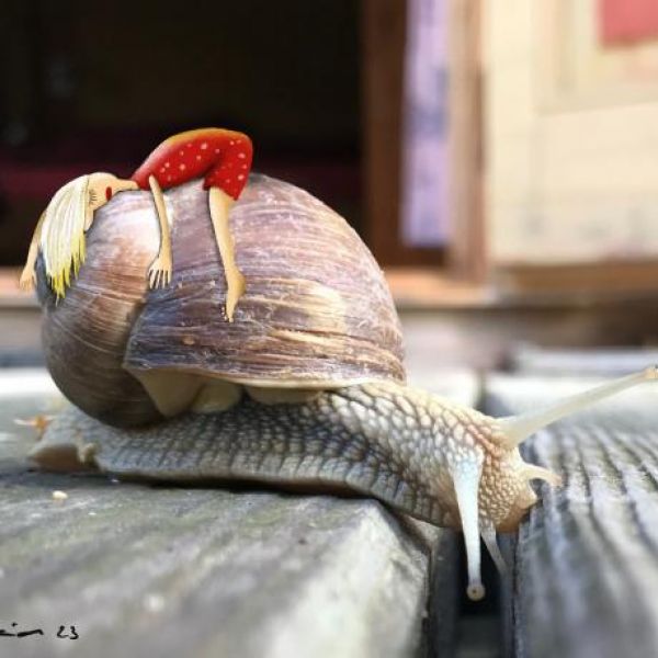 Spielweiber - Dorit David