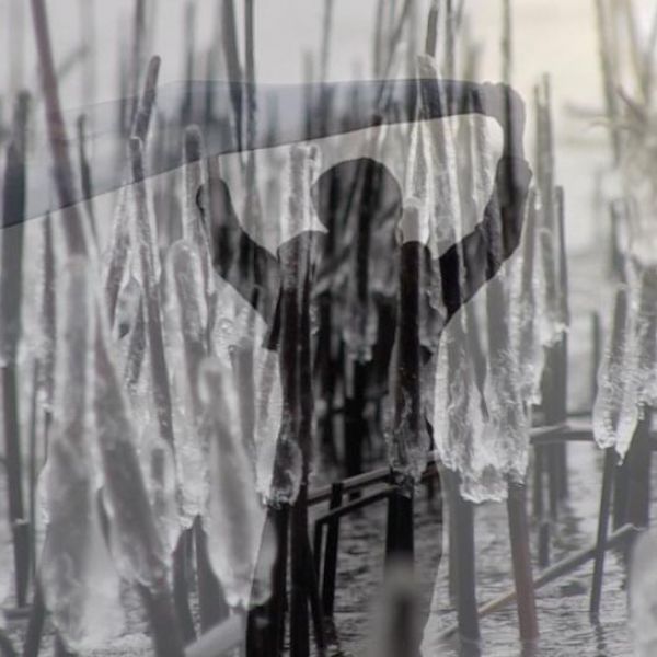 Karen Kunkel - Karen Kunkel