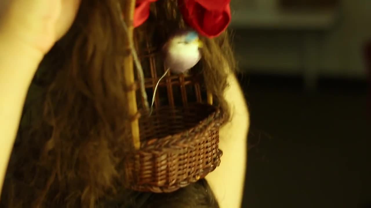 Dr Inside Out at the Sydney Opera House