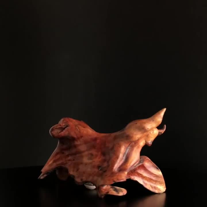 Sternkreis Der Stier