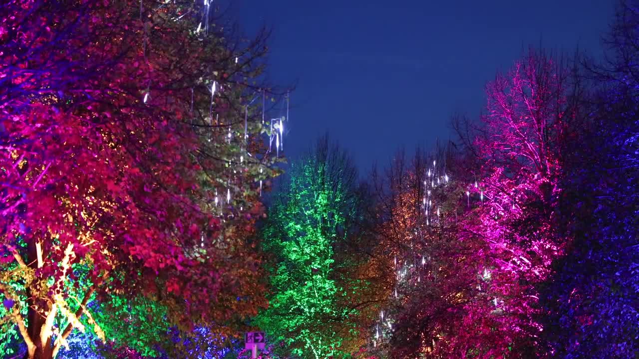 Herbstlichter Jülich - Blue Moon 